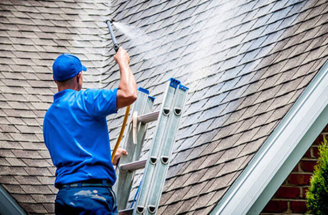 wesley chapel roof cleaning