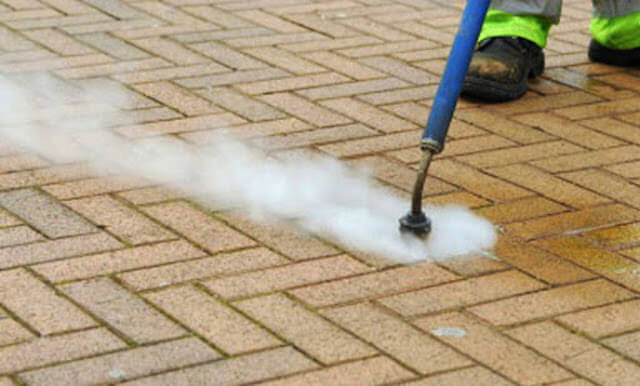 gum removal in wesley chapel